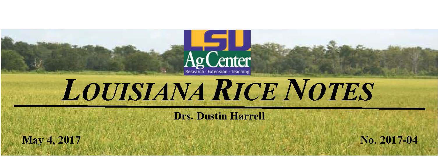 2017 Louisiana Rice Field Notes #4